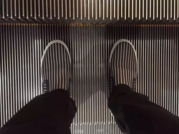 18張證明我們「一輩子都無法看透世事」的驚奇日常照 浮在空中的狗狗?