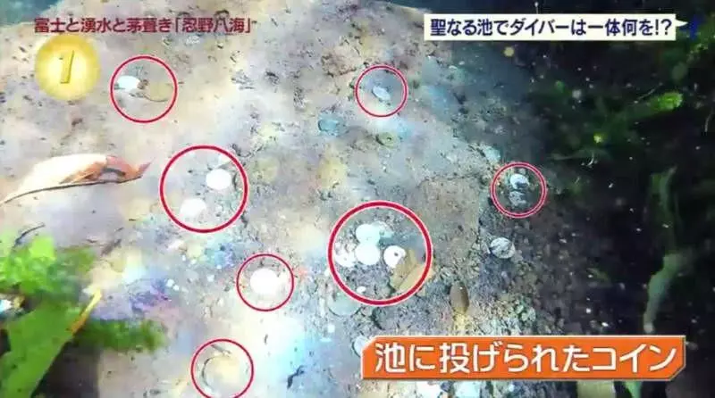 富士山下許願 潛水員潛到許願池下「驚見2000枚臭銅錢」秒懂難怪願望都沒實現!