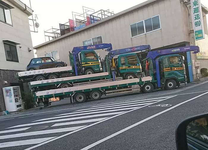 30張「剛好塞好塞滿」的超療癒照片 欄杆原來是鋁罐頭最完美的家!
