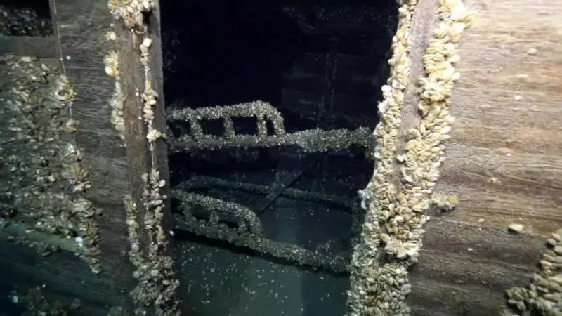 加拿大沉船「90年後被發現」成最美廢墟 藤壺覆蓋所有遺跡...撥開竟是台雪佛蘭跑車!