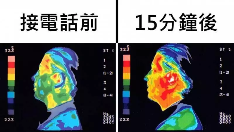 「知道後2019年會過更好」的14個超酷事實#1. 在金字塔開始建造的時候,長毛象還活在世界上。