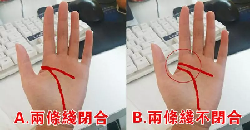 不信你測測!伸出你的手,手上這兩條線,預示你有多好命! | Love分享