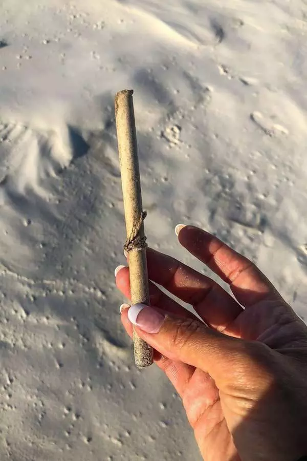 女子在沙灘上意外撿到「最古老瓶中信」,打開看裡面紙條嚇到立馬送去博物館!
