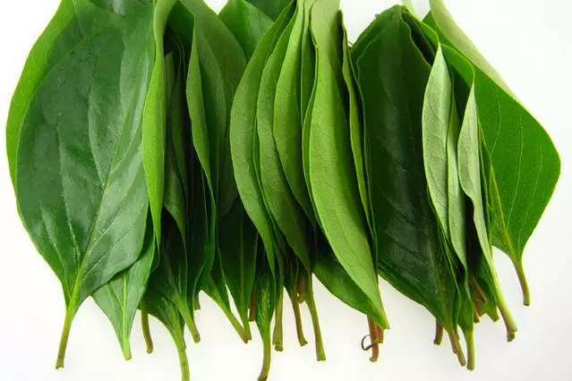 沒想到,堅持每天用「凡士林」加一物擦臉,15天還你無斑白嫩肌膚!