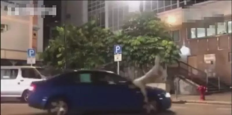 給妻子辦場豪華婚禮,請來半個娛樂圈明星,奢華至極!但妻子卻被轟:太醜!
