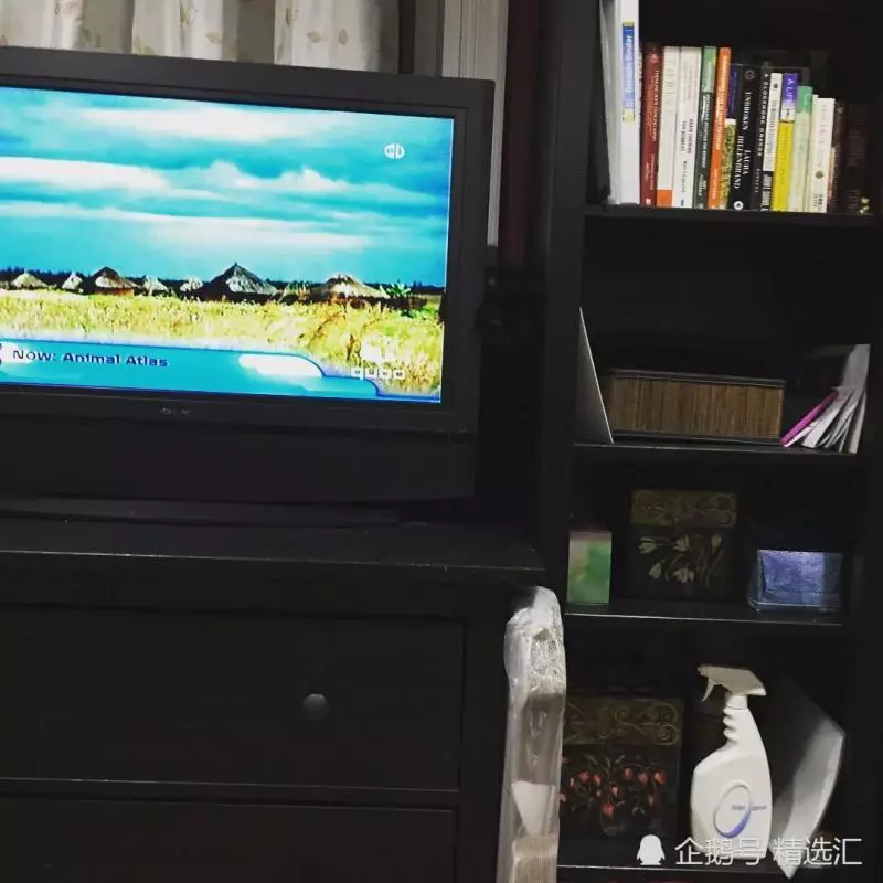 21張你需多看一眼才能明白其中真相的照片