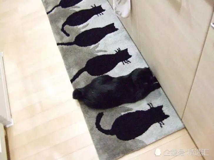 21張你需多看一眼才能明白其中真相的照片