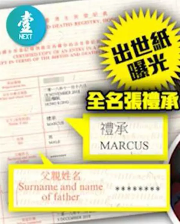 張柏芝三寶出生證曝光!父親欄讓人傻眼!