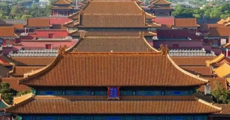 幾百年了…故宮屋頂為何從沒有鳥糞?「中國古代超猛工藝技術」外國都輸慘了!