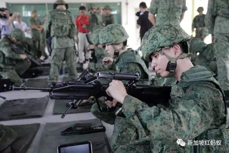 在新加坡,為國服役到底意味著什麼?