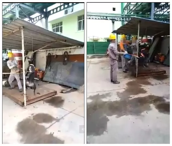 關丹某工地:中國人將不名液體倒在狗身上,之後所作所為讓網友生氣!