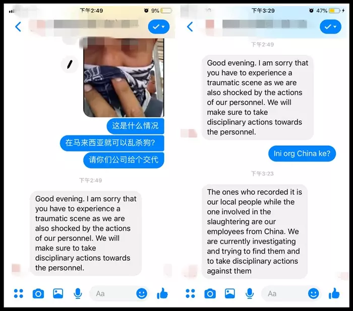 關丹某工地:中國人將不名液體倒在狗身上,之後所作所為讓網友生氣!