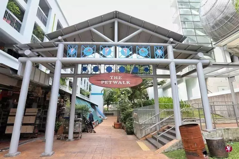 2019獅城迎來的第一個好消息!新地鐵確定修建!快看看路過你家嗎?