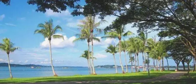 2019獅城迎來的第一個好消息!新地鐵確定修建!快看看路過你家嗎?