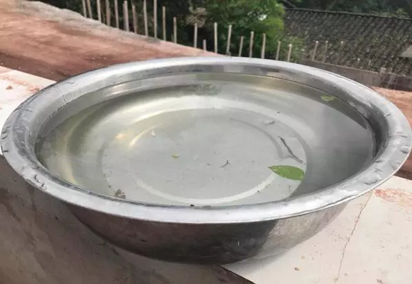 妻子走後,丈夫墳前菜地種下9棵桃樹,一夜之間,桃樹變成了搖錢樹