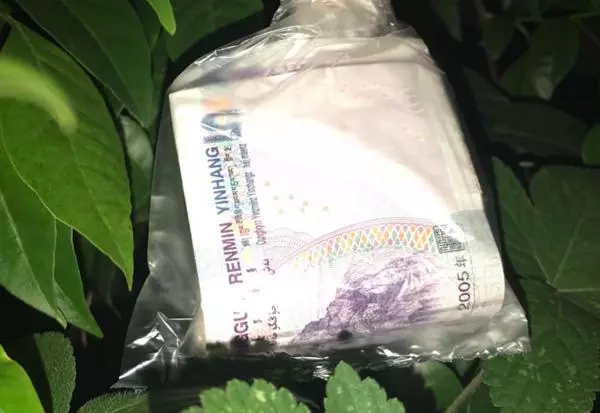 妻子走後,丈夫墳前菜地種下9棵桃樹,一夜之間,桃樹變成了搖錢樹