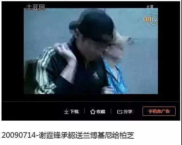 謝霆鋒有多愛張柏芝,生產時全程陪著進產房,離婚前還送蘭博基尼
