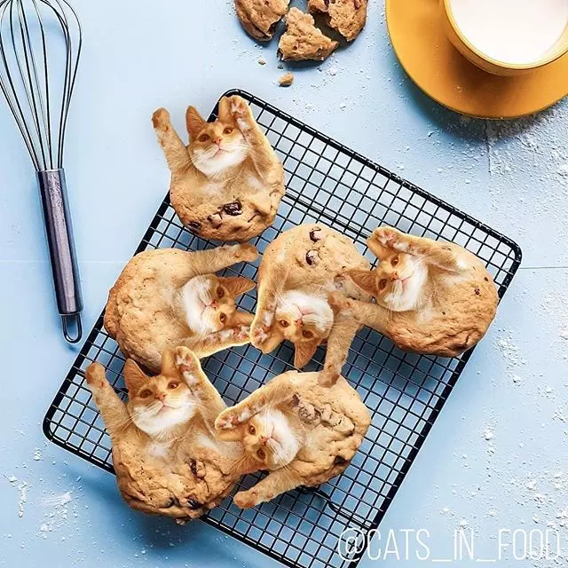 PO出「美食照」好像怪怪的?神P圖「超可口貓咪」網看呆:誰捨得吃...