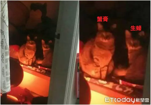 房間透出詭異紅光!驚見「邪教儀式」現場被嚇歪 放大更驚悚網友全狂推