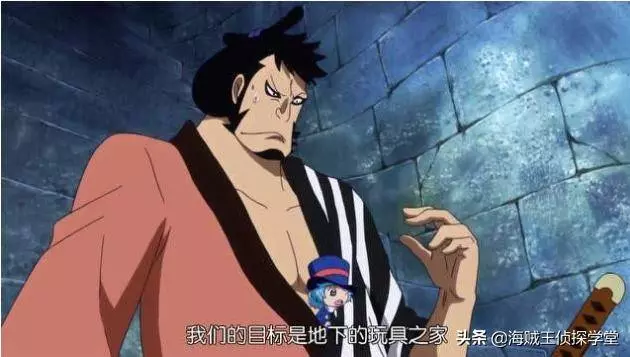 海賊王:假如有2億貝利,你最想要哪顆惡魔果實?第5個做夢都想