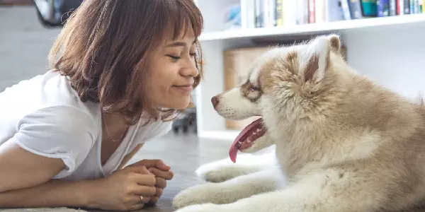 你是他生命的全部!主人離開前騙「你在這等」 忠犬原地苦守10年