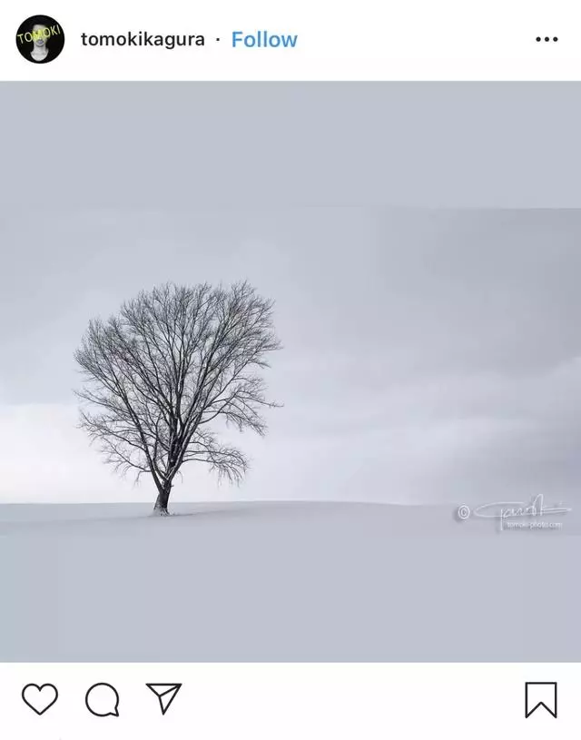 被 INS 毀掉的美景