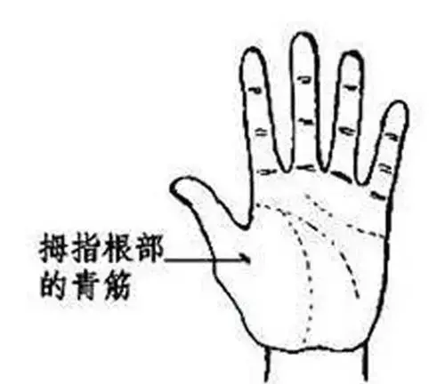 手相看健康狀況圖解!收了吧!