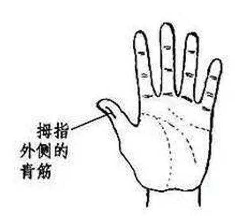 手相看健康狀況圖解!收了吧!
