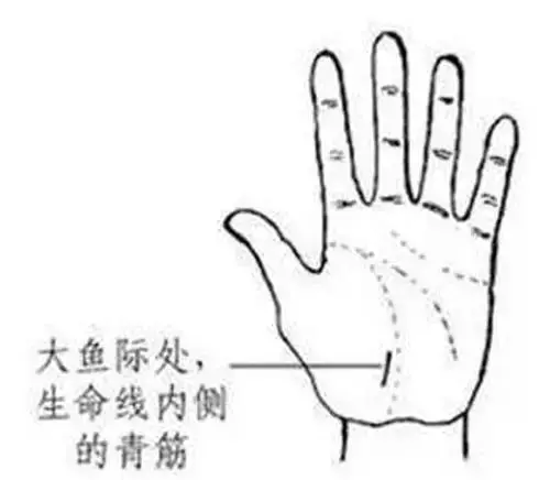 手相看健康狀況圖解!收了吧!