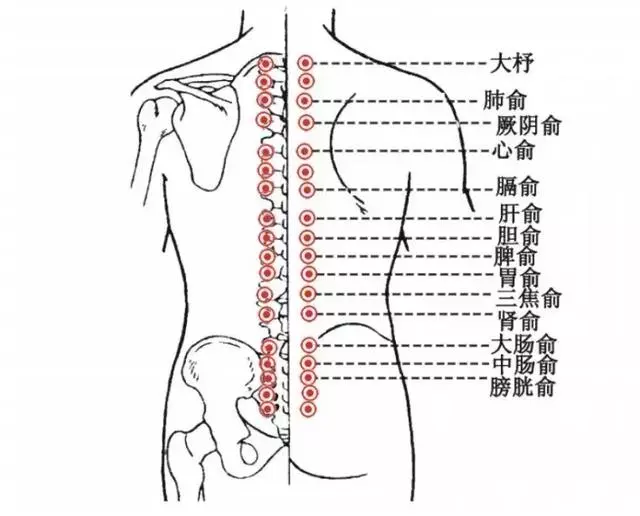一套「養背操」,幫你強健脊背