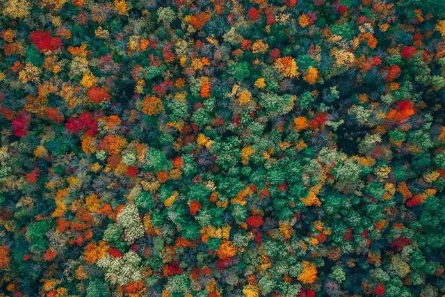 50張無人機拍攝的照片,看到了不一樣的世界