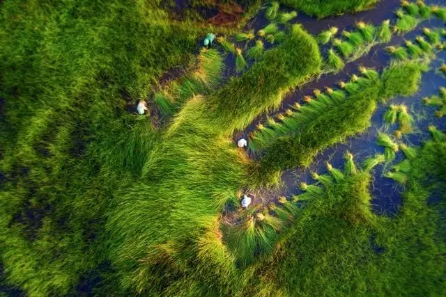 50張無人機拍攝的照片,看到了不一樣的世界