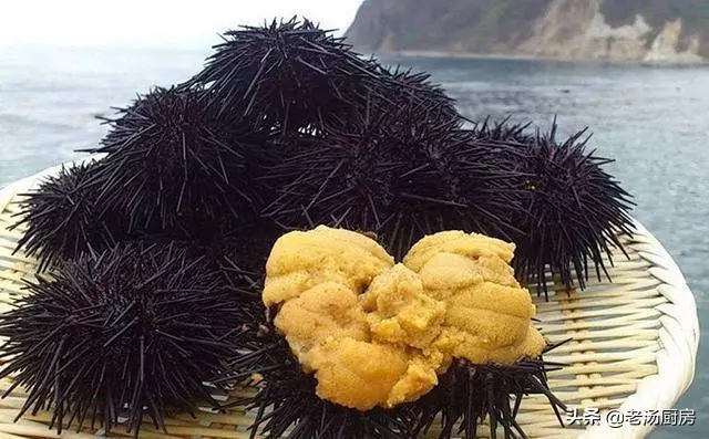 外表「醜陋嚇人」的海鮮,味道卻極其鮮美,你吃過其中的幾種?