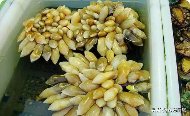 外表「醜陋嚇人」的海鮮,味道卻極其鮮美,你吃過其中的幾種?