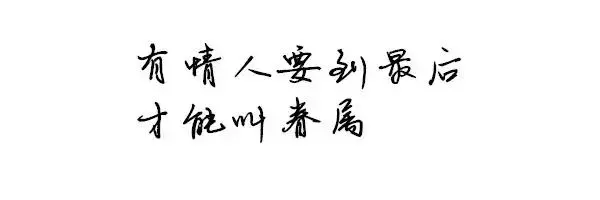 9句經典電影台詞,哪一句曾打動你