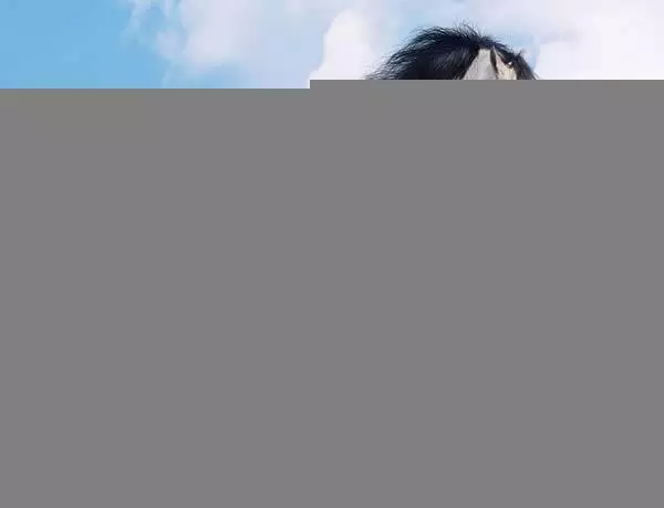 明天開始!這八大生肖橫財入命,一定要去買彩票【有望中大獎】