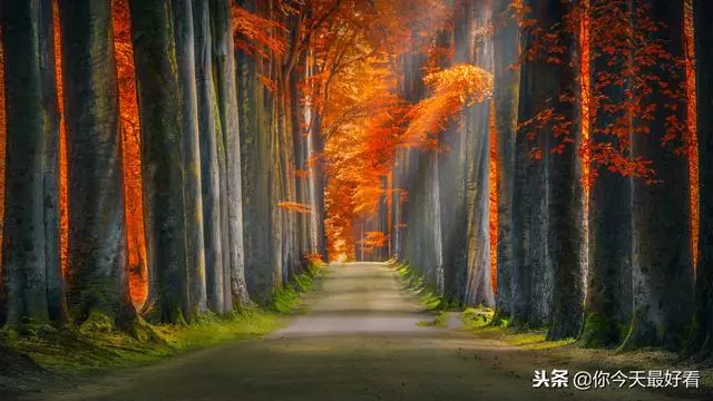 真正的教養:脾氣永遠不要大於本事