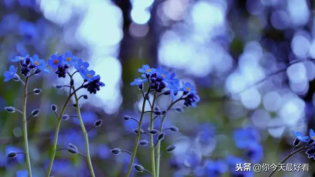 真正的教養:脾氣永遠不要大於本事