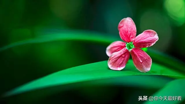 真正的教養:脾氣永遠不要大於本事