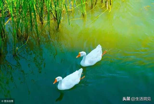 人在落魄的時候,這3件事做得越多,人生越迷茫!