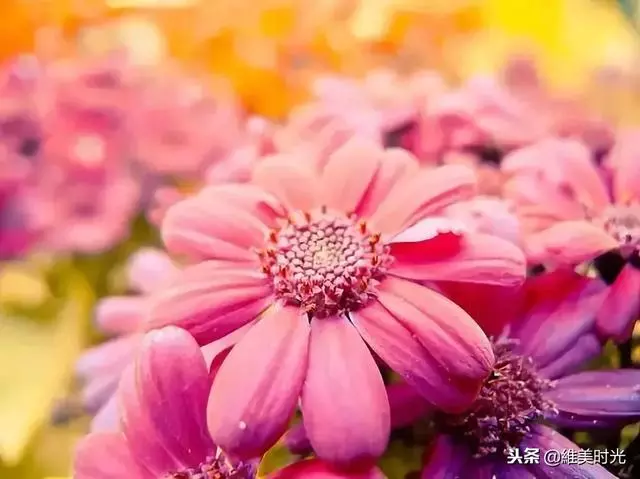 誠信+感恩+人品=做人(精闢)這句話說的真好,好好感悟一下吧!