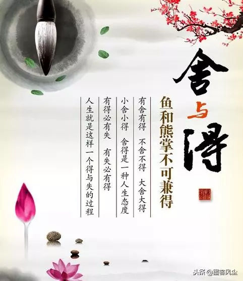 人生沒有舍就沒有得,失去的會以另一種方式還給你