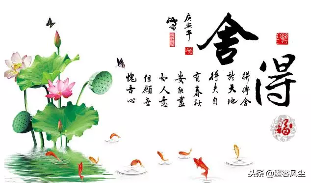 人生沒有舍就沒有得,失去的會以另一種方式還給你