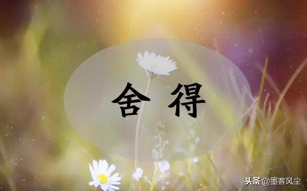 人生沒有舍就沒有得,失去的會以另一種方式還給你