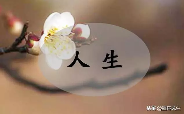 人生沒有舍就沒有得,失去的會以另一種方式還給你