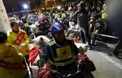 他放棄坐飛機,乘車輾轉28個小時,只為帶狗狗回家過年