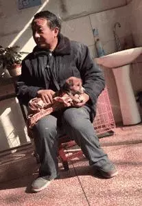 它是一隻小土狗,卻是我心中的無價之寶