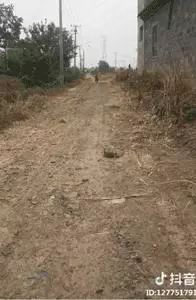 它是一隻小土狗,卻是我心中的無價之寶