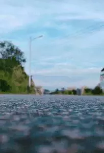 它是一隻小土狗,卻是我心中的無價之寶