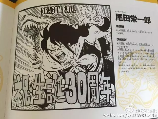 《七龍珠》30周年知名漫畫家都來慶祝 一次看完「不同風格的悟空」太經典
